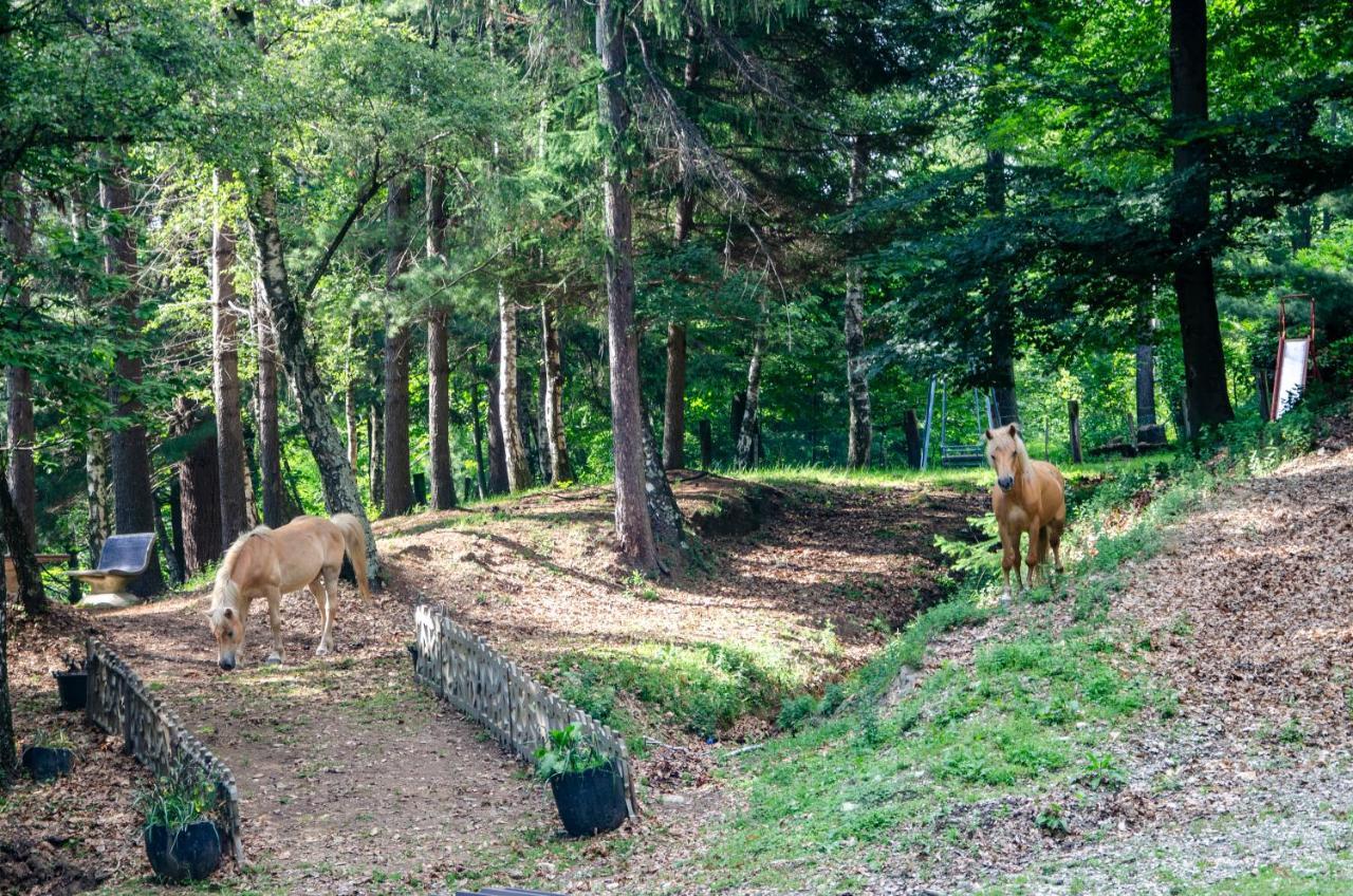 Bellosta Family Country Club Mb Alpe Moiana Armeno Zewnętrze zdjęcie
