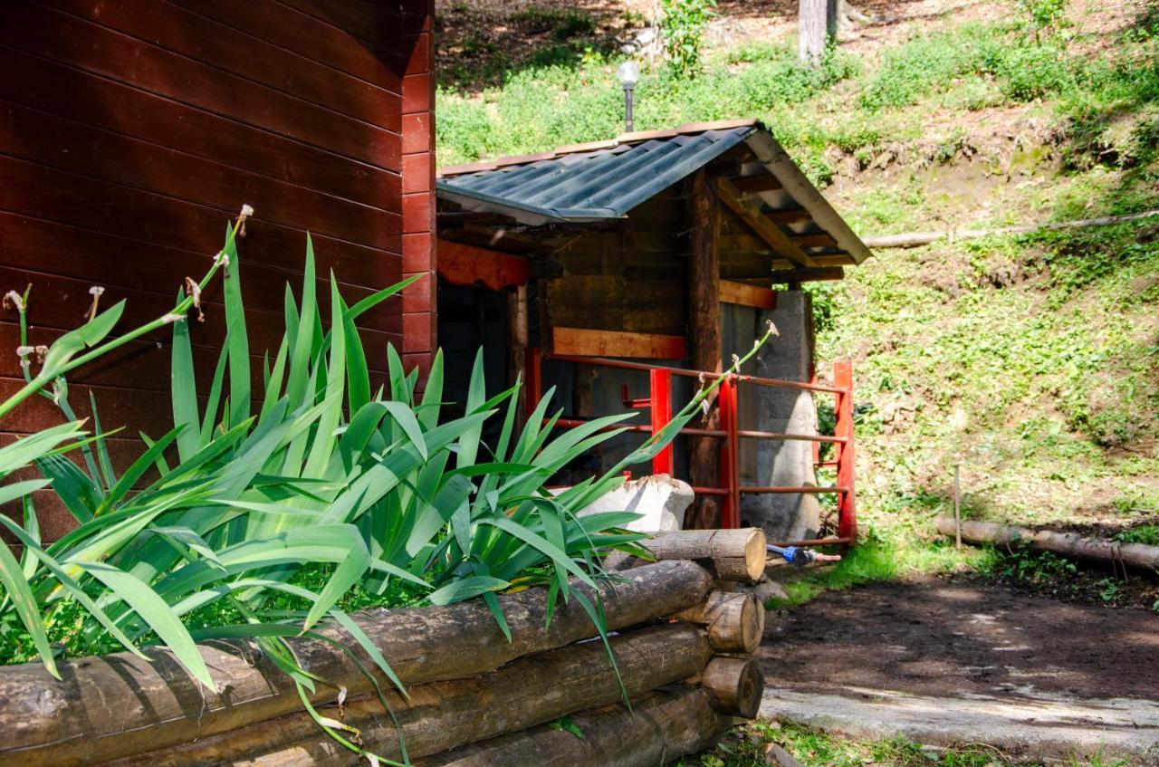 Bellosta Family Country Club Mb Alpe Moiana Armeno Zewnętrze zdjęcie