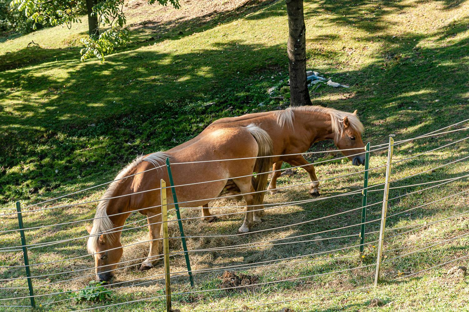Bellosta Family Country Club Mb Alpe Moiana Armeno Zewnętrze zdjęcie